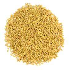 Foenegriek: History, Benefits, Uses, and Modern Importance of Fenugreek foenegriek